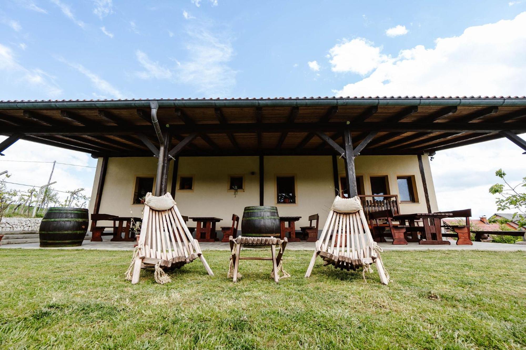 Zelena Oaza - B&B Miklavz pri Ormozu Exterior photo
